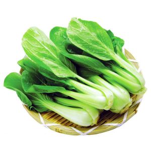 豬里肌肉
